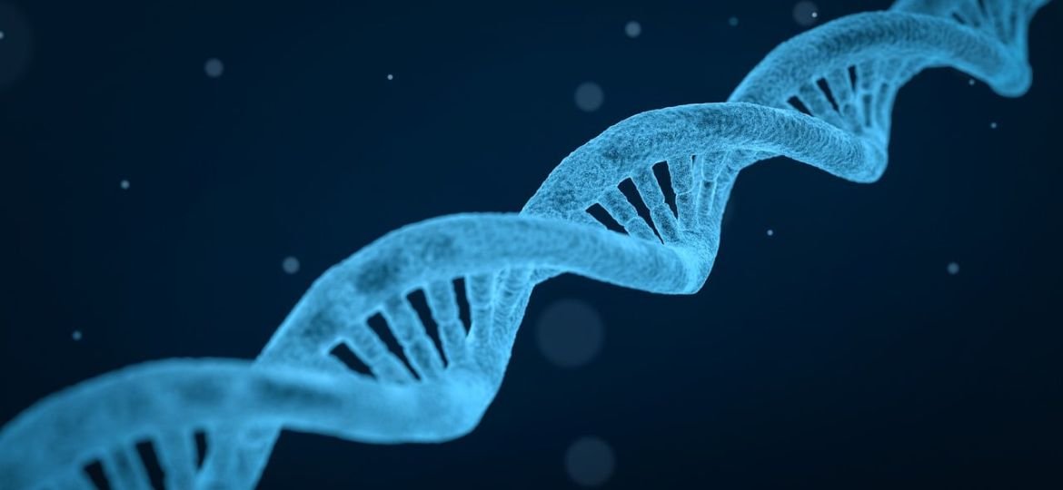 Métodos de Extracción de ADN