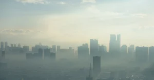 Contaminación, Partículas PM 2.5